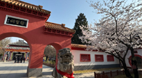 【行業(yè)資訊】新華財(cái)經(jīng)：守正創(chuàng)新，中醫(yī)藥品牌化發(fā)展“更上一層樓”！