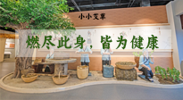 【艾草知識(shí)】小小艾草，渾身是寶，一生燃盡此身，皆為健康！