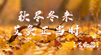 【健康/艾灸】秋盡冬來，艾灸正當(dāng)時(shí)——解鎖季節(jié)交替的養(yǎng)生密碼！
